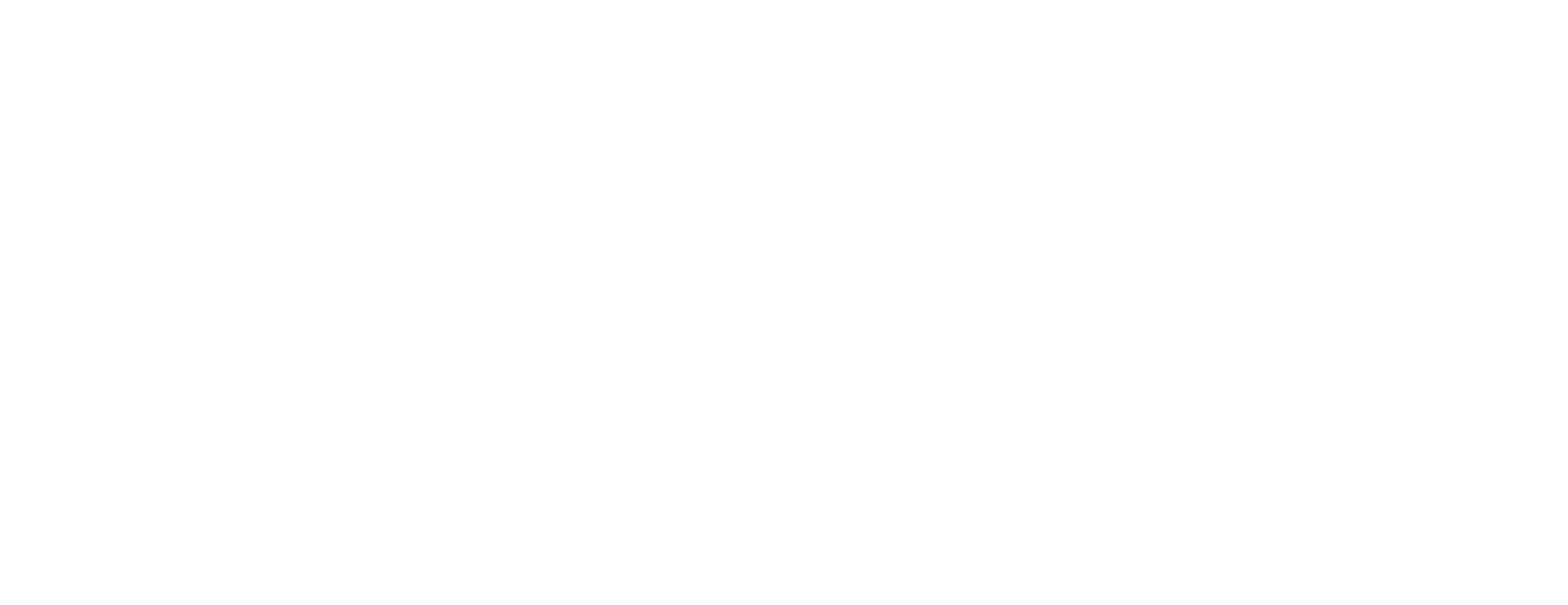 saylani logo